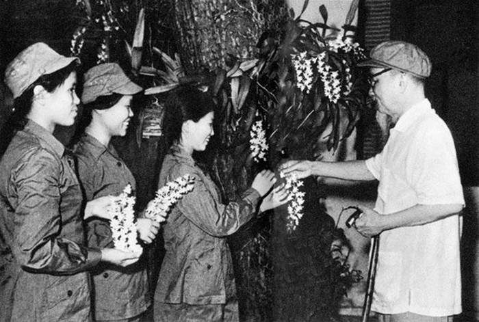 Phát huy ý nghĩa của phong trào Tết trồng cây do Bác Hồ phát động trong giai đoạn hiện nay