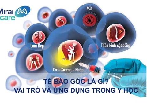 Liệu pháp tế bào gốc và cơ hội phục hồi sức khỏe tự nhiên