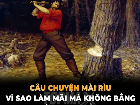 Bài học từ những thanh niên trong rừng: Đốn củi phải biết mài rìu!