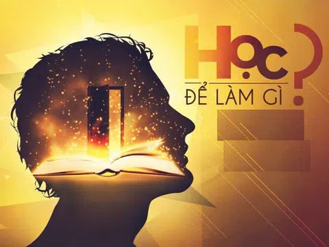 Đời người suy cho cùng cần học 7 điều này