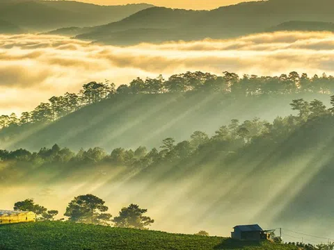 Truyện ngắn "Phố núi mù sương"