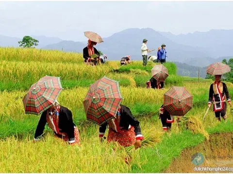 Du lịch Bình Liêu Cột mốc biên giới, cửa khẩu và 4 mùa hoa