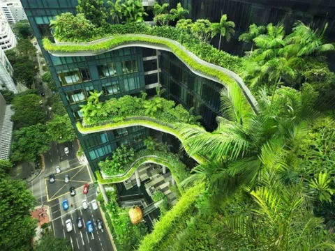 TỔ CHỨC KHÔNG GIAN NÔNG NGHIỆP ĐÔ THỊ TRÊN THẾ GIỚI VÀ Ở VIỆT NAM