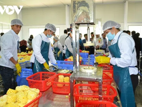 Doanh nghiệp chủ động, sáng tạo để vượt qua khó khăn