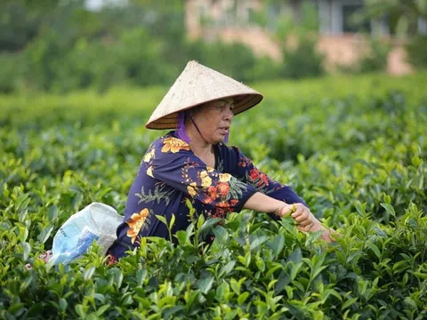 Xã Khánh Thượng (Ba Vì): Tập trung phòng chống dịch, xây dựng Nông thôn mới