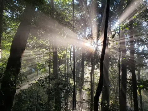 Việt Nam có thêm hai khu dự trữ sinh quyển được UNESCO công nhận