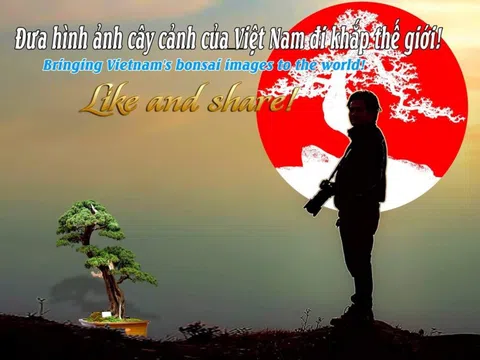 Bộ sưu tập ảnh về Sinh Vật Cảnh của Nguyễn Duy Cường (Phần 1)