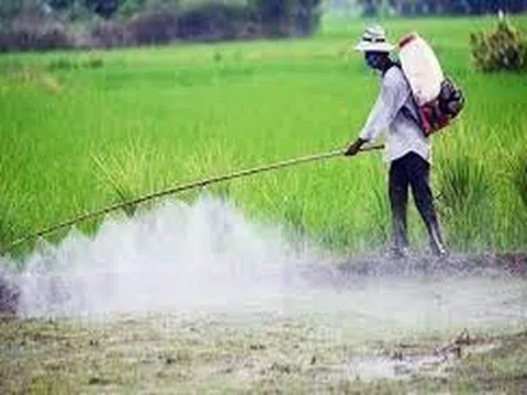 Sử dụng thuốc trừ cỏ dại sao cho hiệu quả khi mùa vụ đang đến gần