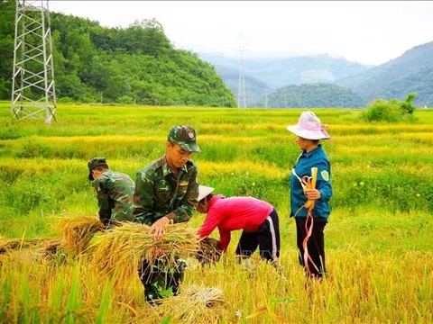 Mùa vàng ấm tình quân dân vùng ngoài lòng chảo Mường Thanh