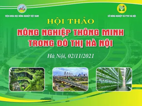 Xu hướng xây dựng đô thị trên thế giới ứng phó với đại dịch Covid-19