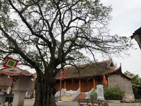 Những đặc trưng của nền văn hóa Việt Nam