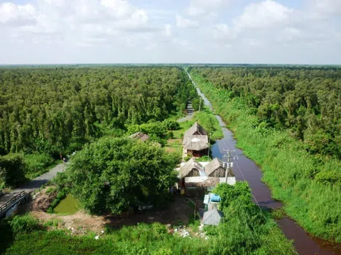 TRIỂN KHAI CHÍNH SÁCH GIAO ĐẤT GIAO RỪNG ĐỂ RỪNG CÓ CHỦ