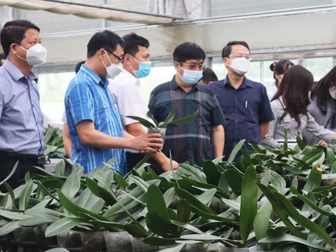 Công nghệ cao gắn với phát triển nông nghiệp đô thị trong quá trình đô thị hóa trên địa bàn Thủ đô