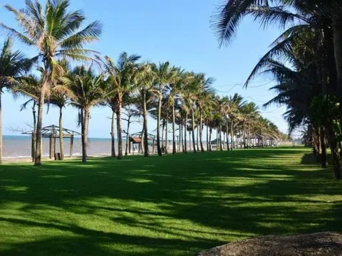 Vườn chim giữa lòng thành phố
