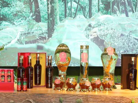 Giải mã “cơn sốt” những sản phẩm đến từ Sâm Ngọc Linh Kon Tum