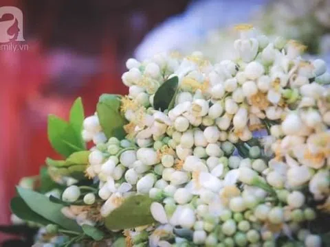 Tháng ba hương bưởi