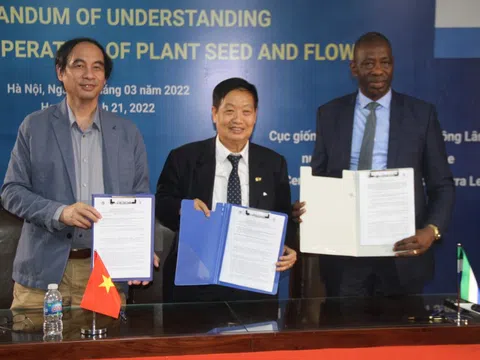 Triển vọng hợp tác Việt Nam - Sierra Leone trong lĩnh vực nông nghiệp và phát triển nông thôn