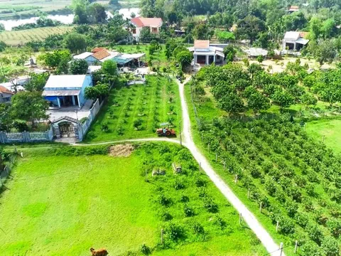 Trong 2 ngày 26 - 27/8/2023, tại làng Cà Ban sẽ tổ chức nhiều hoạt động văn hóa, thể thao, trải nghiệm