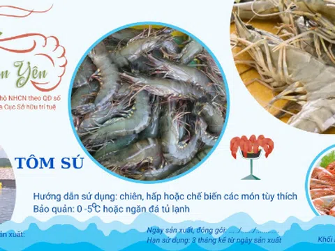 Chứng nhận đăng ký nhãn hiệu và bảo hộ thương hiệu Tôm Tiên Yên do Cục Sở hữu Trí tuệ cấp