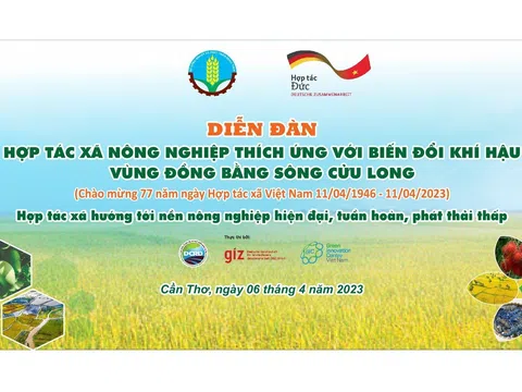 HTX hướng tới nền nông nghiệp hiện đại, tuần hoàn và phát thải thấp