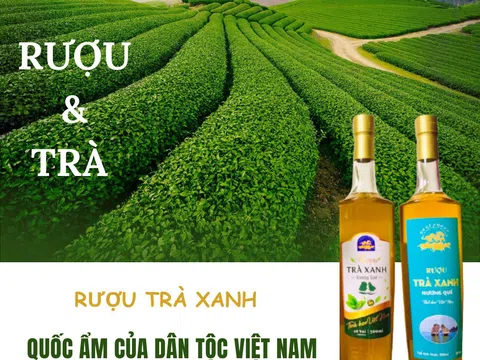 RƯỢU TRÀ XANH - QUỐC ẨM CỦA DÂN TỘC VIỆT NAM