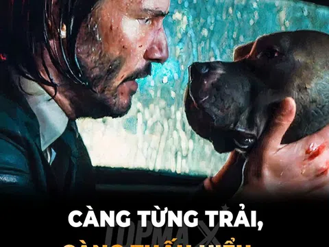 CÀNG TỪNG TRẢI CÀNG THẤU HIỂU....