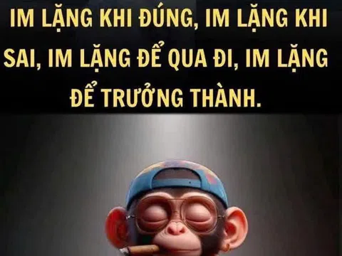 "Im lặng khi đúng, im lặng khi sai, im lặng để qua đi, im lặng để trưởng thành."