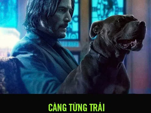 CÀNG TỪNG TRẢI CÀNG THẤU HIỂU....
