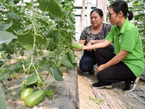 Hỗ trợ sản xuất, kết nối tiêu thụ cho nông sản hữu cơ