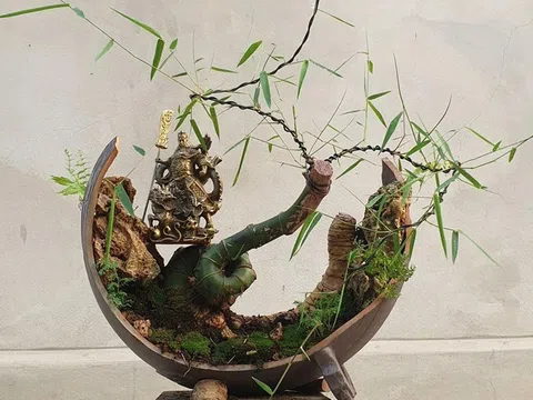 Tre Bonsai - xu hướng chơi cây kiểng mới của giới trẻ hiện nay