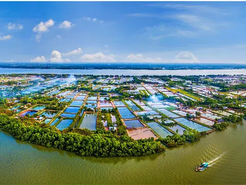 Tổng quan và tiềm năng phát triển của Bến Tre