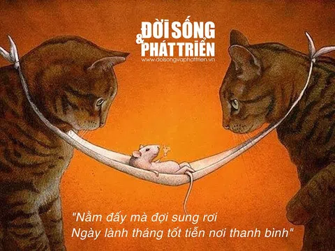 Mỗi ngày một câu Danh ngôn, Thành ngữ: Há miệng chờ sung