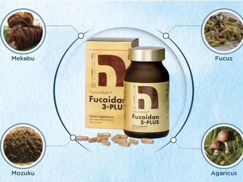 Hợp chất fucoidan giúp cân bằng hệ miễn dịch
