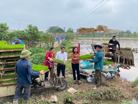 Giải pháp cho những thửa ruộng hoang.