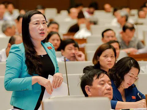 ĐBQH dẫn vụ ly hôn của ông chủ cà phê Trung Nguyên để nói về hòa giải, đối thoại tại tòa