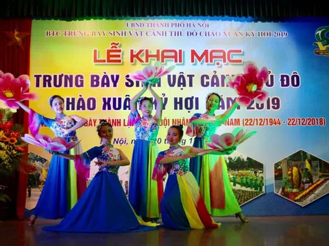 Hương Sắc Thủ Đô năm 2019 tại Công Viên Bách Thảo không thể bỏ qua