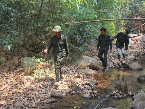 Nỗ lực giữ màu xanh trên vùng biên giới