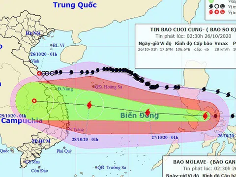 Bão số 8 tan, bão Molave giật cấp 14 sắp vào Biển Đông