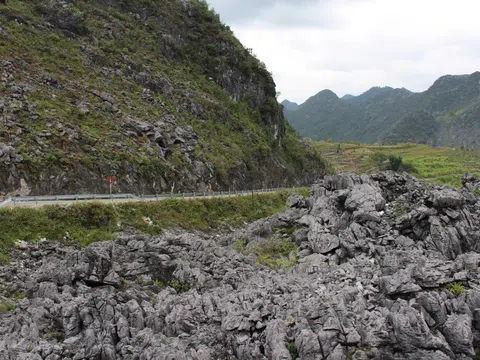 Hà Giang: Lễ hội Hoa Tam giác mạch lần thứ VI - 2020 "Hoa trên đá" sẽ diễn ra ngày 28/11