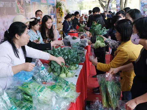 Hà Nội tiên phong phát triển sản phẩm OCOP