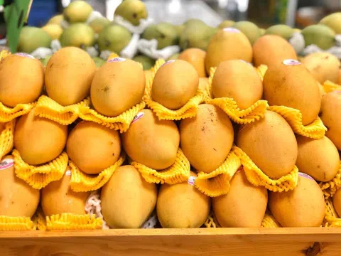 Thực phẩm sạch vì sức khỏe cộng đồng
