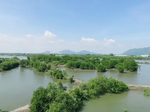 Mạng xã hội bỗng chốc 'xanh rì' với chiến dịch 'Triệu cây vươn cao cho Việt Nam xanh'