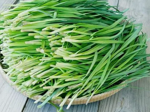 Ích Tiểu Vương – Giải pháp an toàn, hiệu quả cho người mắc chứng đái dầm
