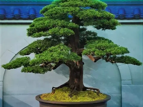 Hà Nội chuẩn bị tổ chức Featival sản phẩm nông nghiệp và Làng nghề thành phố 2019