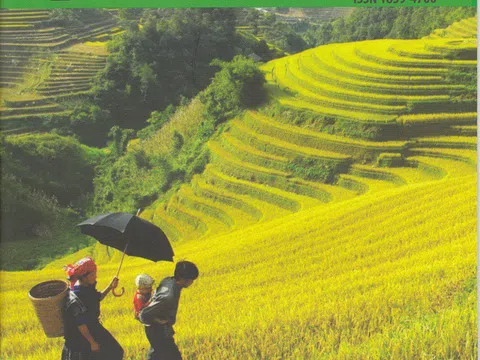 Tạp chí những đặc trưng khác với báo