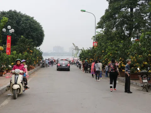 Đào, quất xuống phố, Tết đã gần lắm rồi