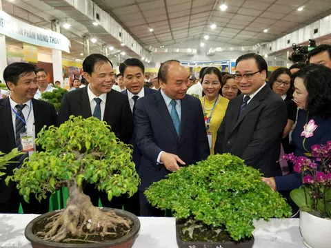 Những thành tựu nổi bật trong xây dựng Nông thôn mới thay đổi diện mạo nông thôn ngoại thành Hà Nội