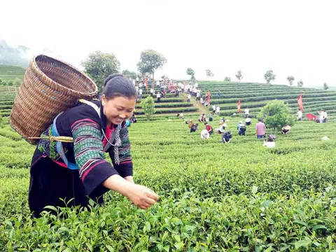 Lai Châu: Xây dựng văn hóa doanh nghiệp, doanh nhân