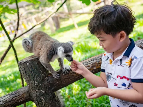 Vinpearl Safari đăng cai tổ chức hội nghị bảo tồn và phúc trạng động vật lớn nhất Đông Nam Á