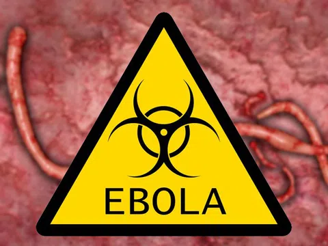 Israel và Đức tìm ra phương pháp nâng cao hiệu quả của vaccine phòng Ebola